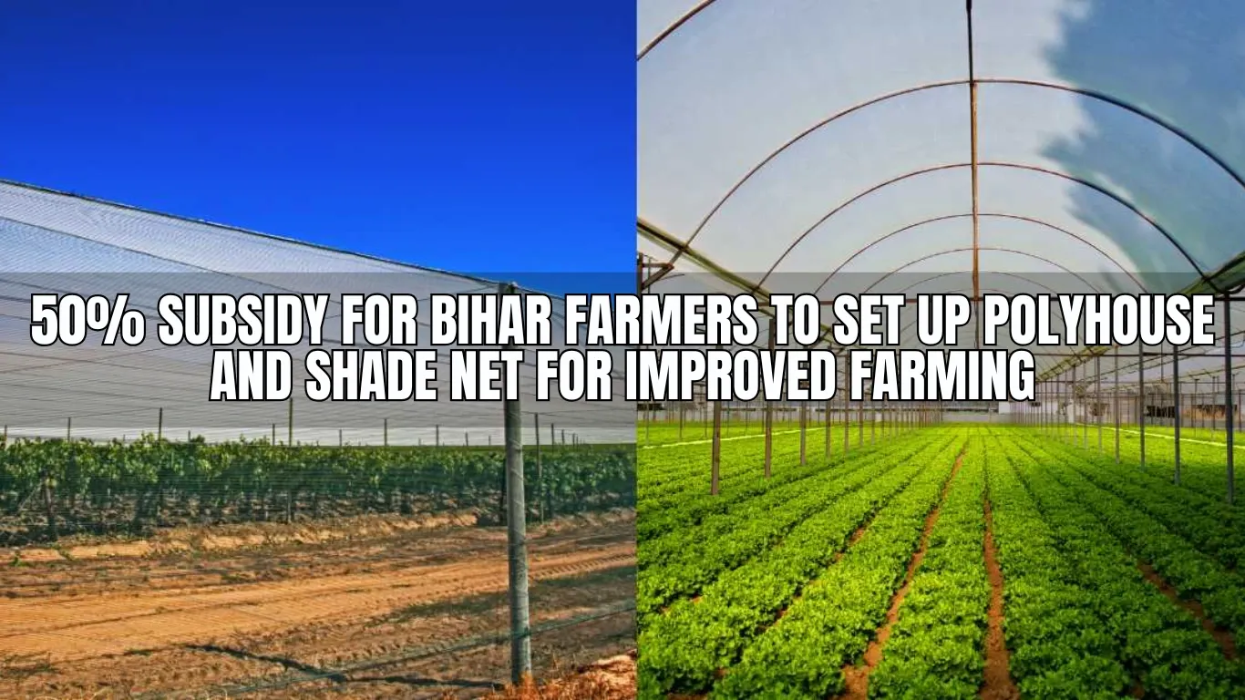 50% Subsidy for Bihar Farmers to Set Up Polyhouse and Shade Net for Improved Farming