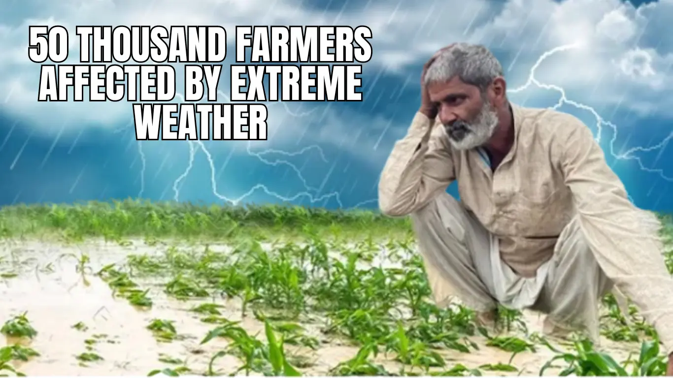 50 Thousand Farmers Affected by Extreme Weather