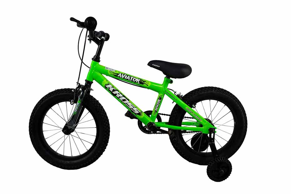 Aviator 2024 fat bike