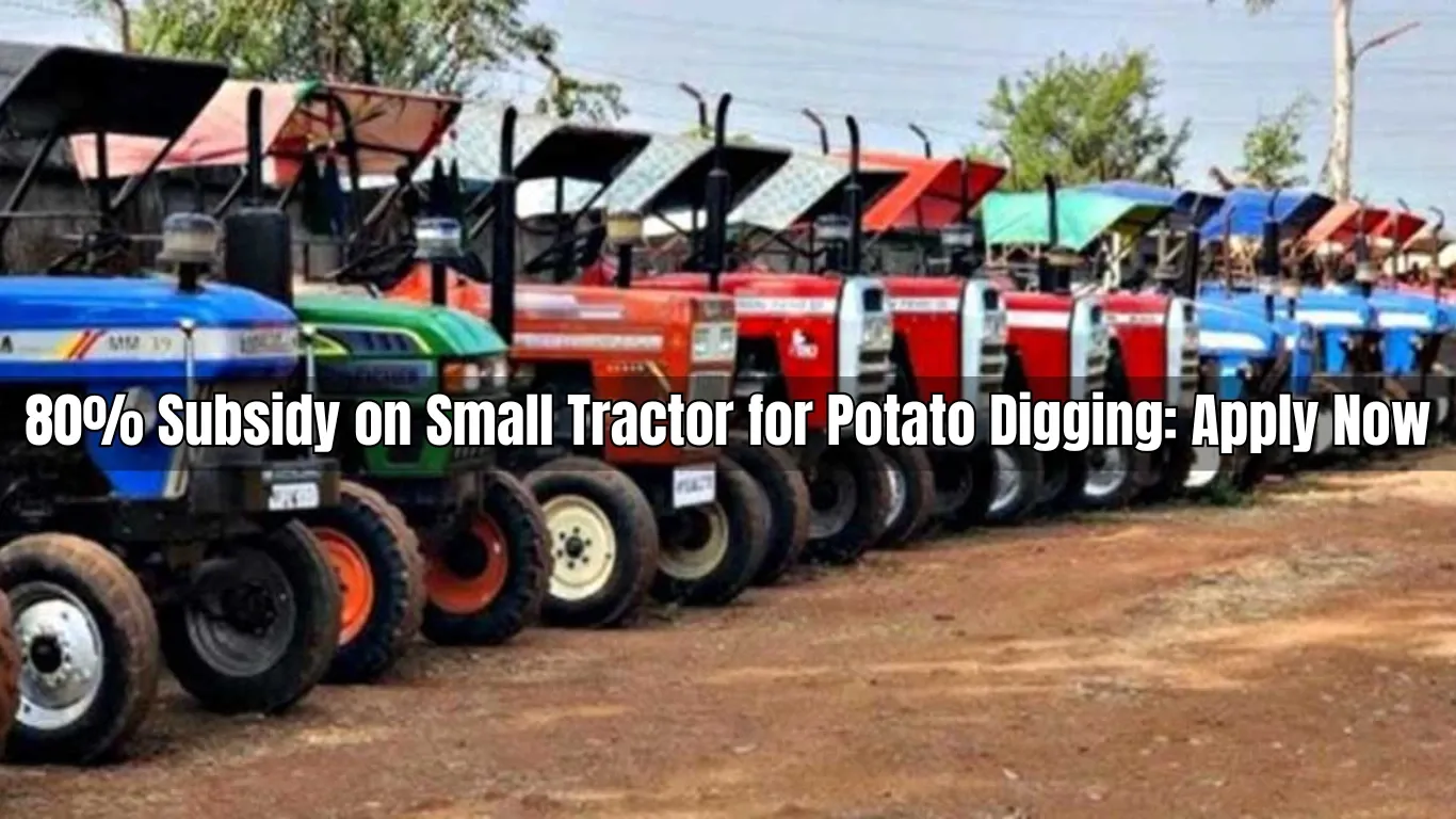 80% Subsidy on Small Tractor for Potato Digging: Apply Now