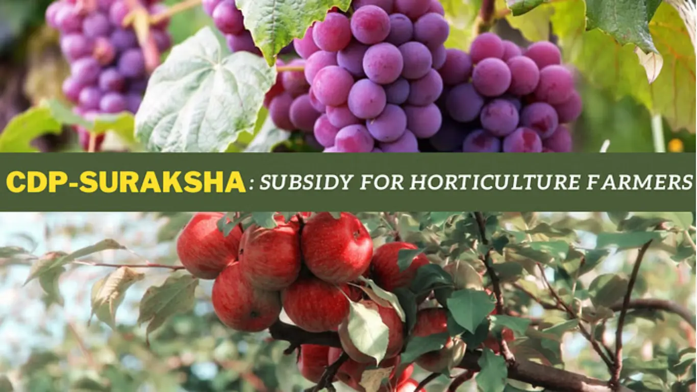 BJP Introduces CDP-SURAKSHA: Digital Subsidy Platform for Horticulture Farmers to Get Subsidy