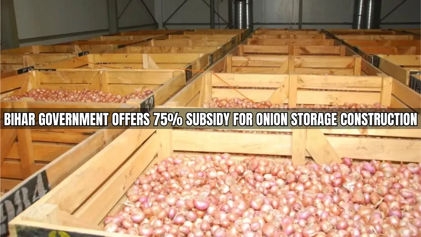 Bihar Government Offers 75% Subsidy for Onion Storage Construction