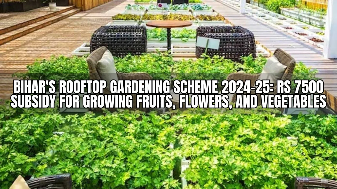 Bihar's Rooftop Gardening Scheme 2024-25: Rs 7500 Subsidy for Growing Fruits, Flowers, and Vegetables