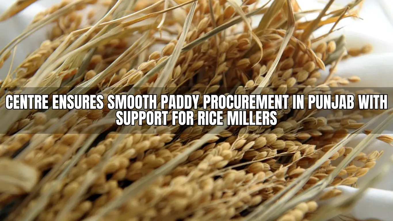 Centre Ensures Smooth Paddy Procurement in Punjab with Support for Rice Millers