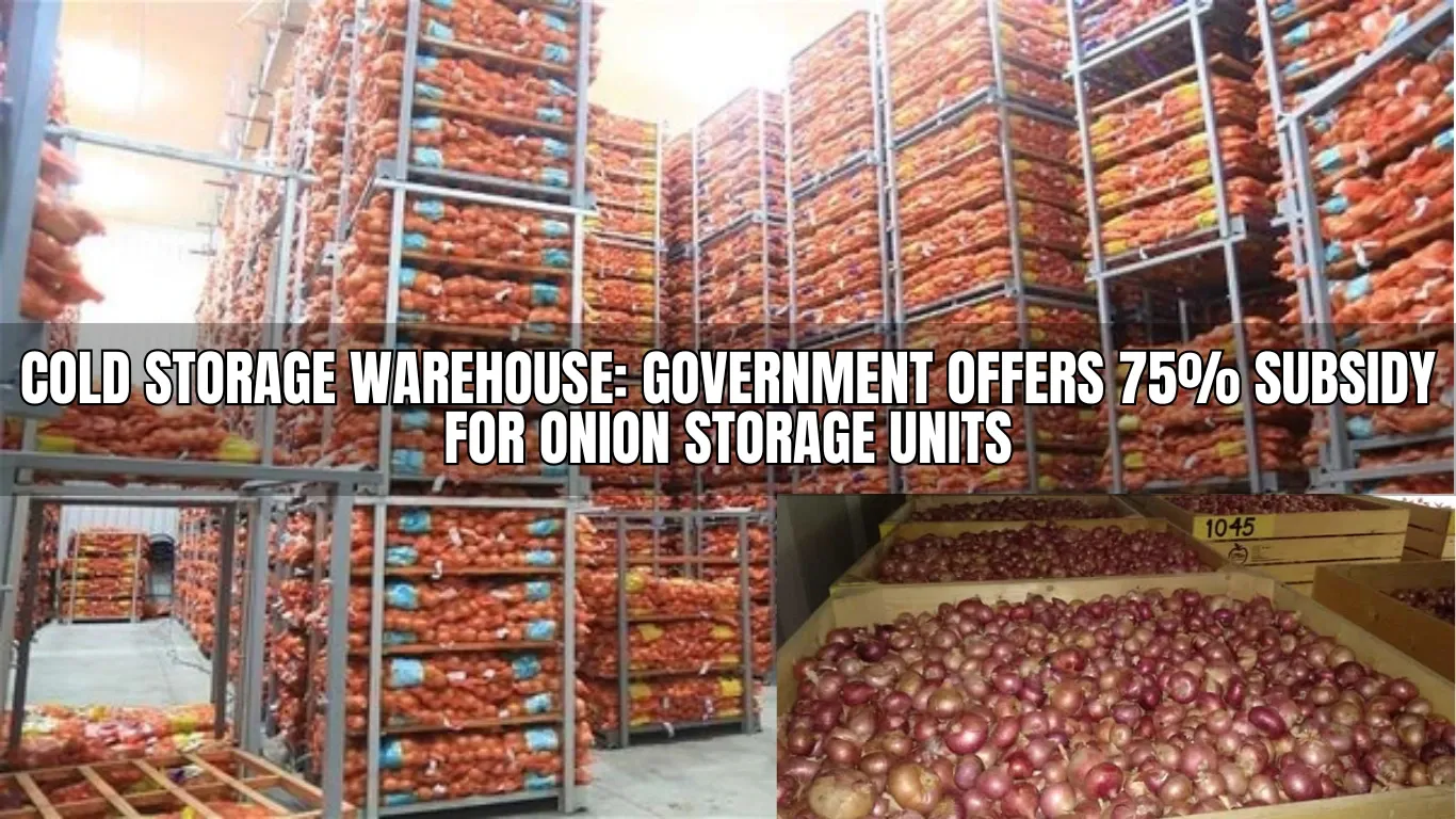 Cold Storage Warehouse: Bihar Government Offers 75% Subsidy for Onion Storage Units