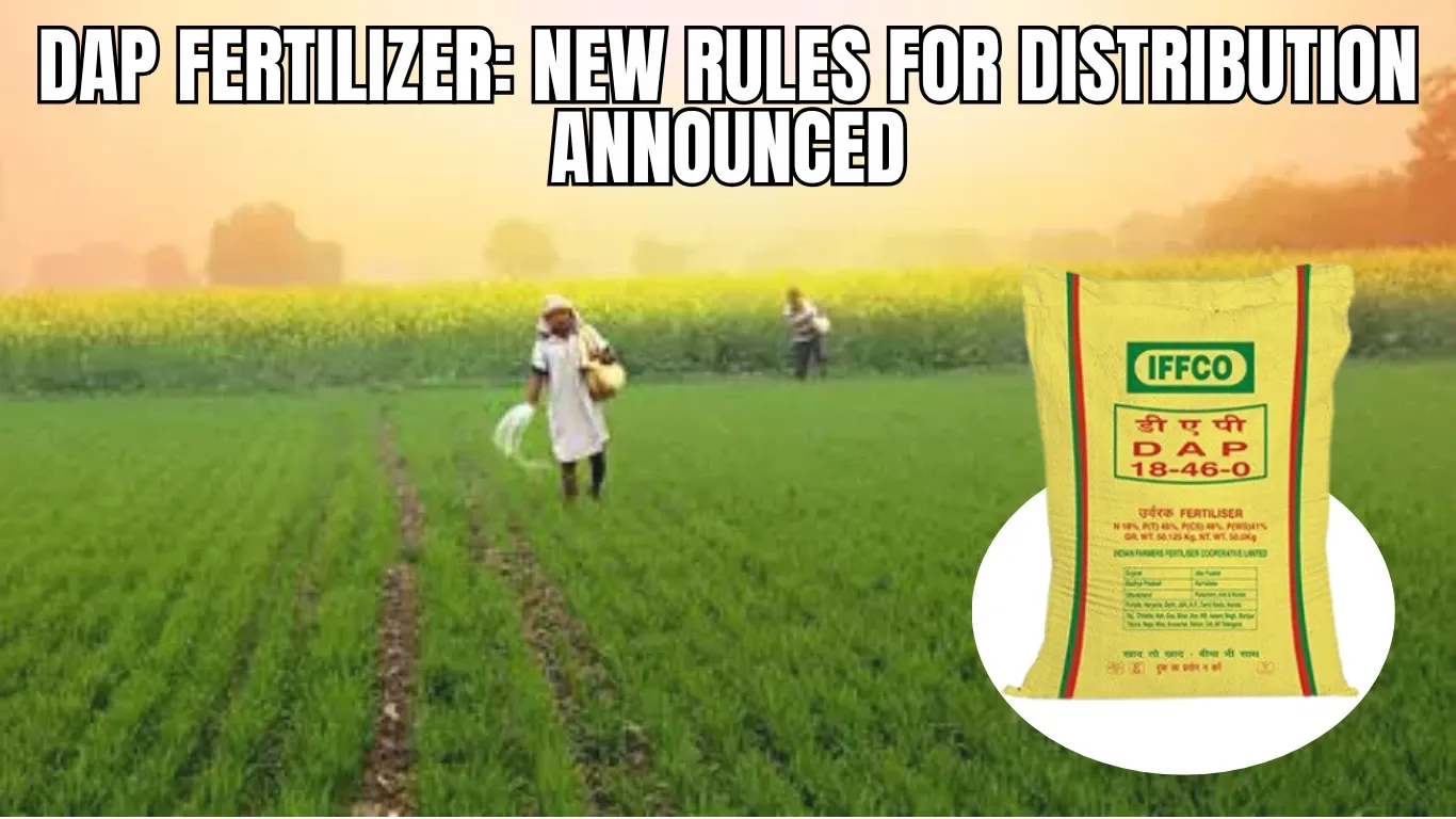 DAP Fertilizer: New Rules for Distribution Announced