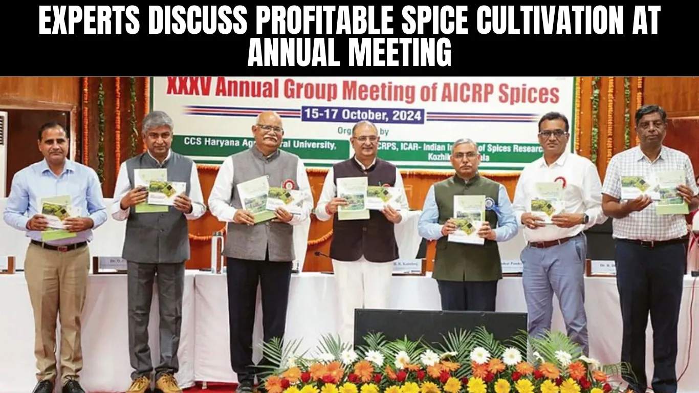 Experts Discuss Profitable Spice Cultivation at Annual Meeting