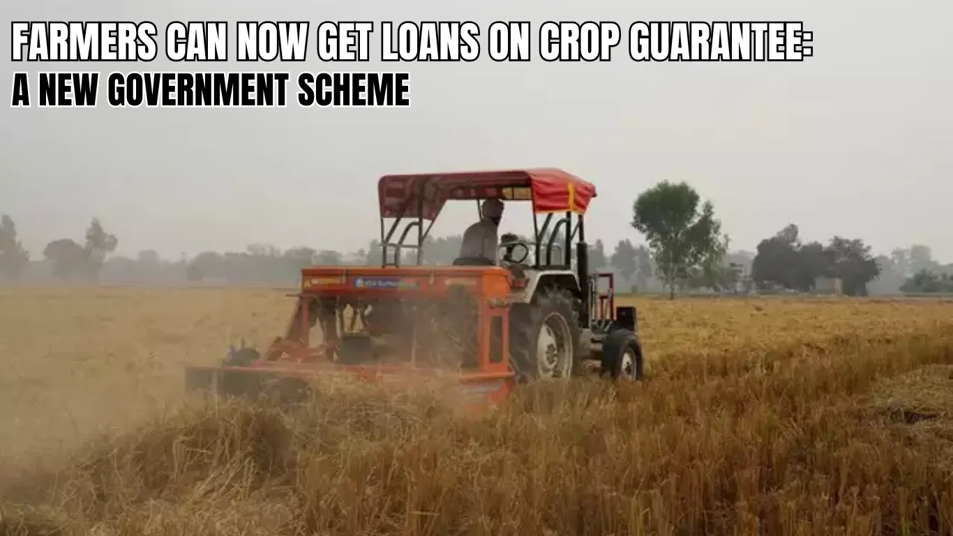 Farmers Can Now Get Loans on Crop Guarantee: A New Government Scheme