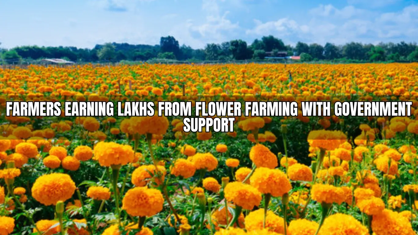 Farmers Earning Lakhs from Flower Farming with Government Support