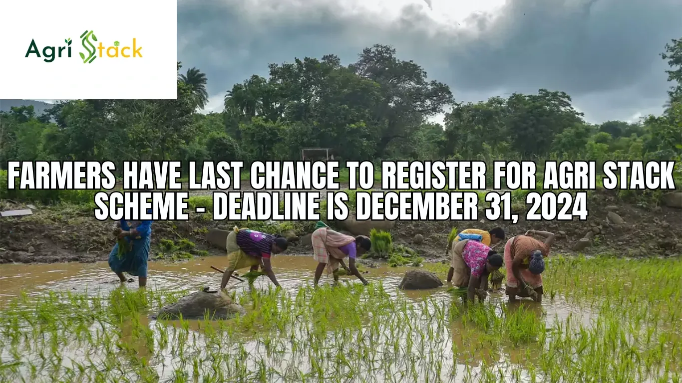 Farmers Have Last Chance to Register for Agri Stack Scheme – Deadline is December 31, 2024