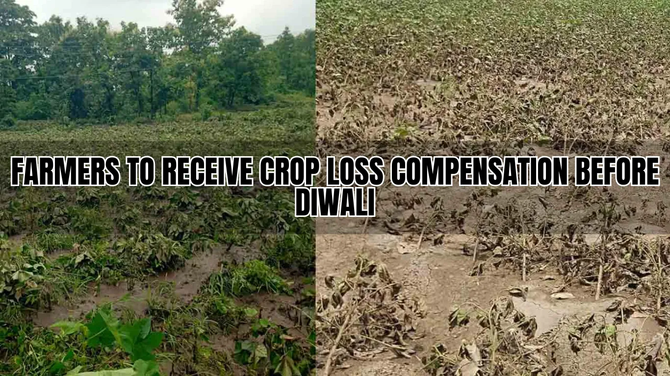 Farmers to Receive Crop Loss Compensation Before Diwali