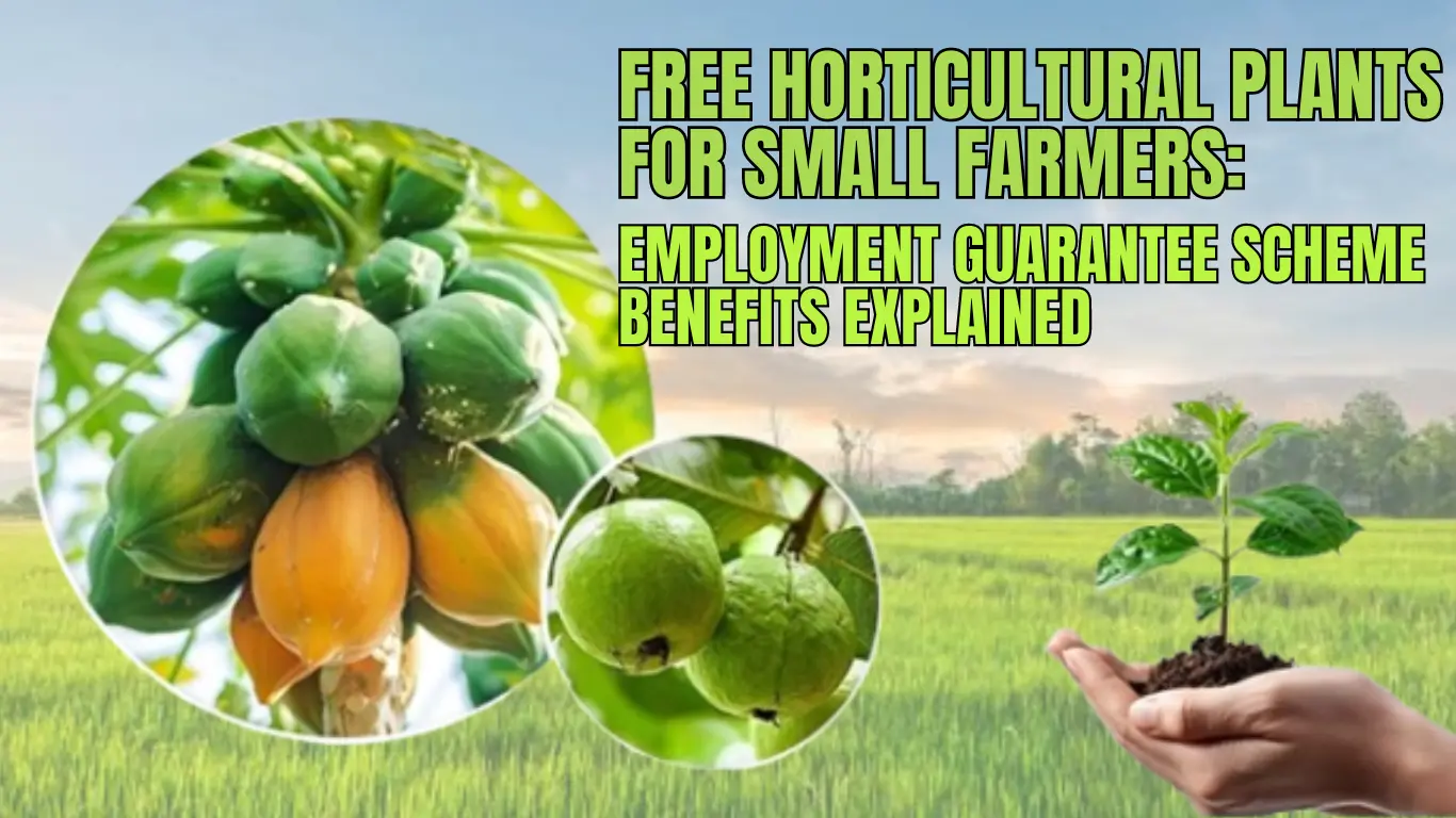 Free Horticultural Plants for Small Farmers: Employment Guarantee Scheme Benefits Explained