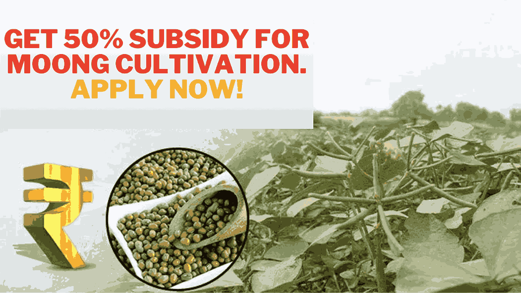 Get 50% subsidy for Moong Cultivation. Apply now!