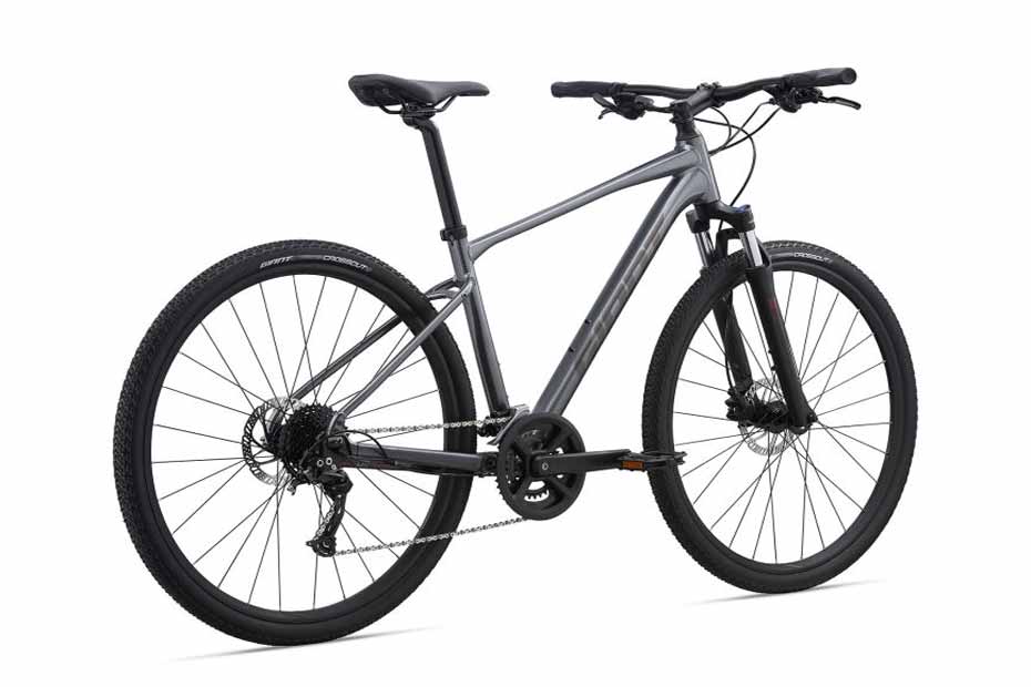 Giant Roam 2 Disc(2021) Price, Images 