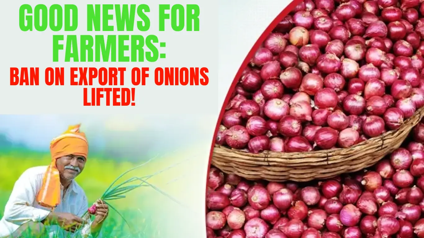 Good News for Farmers: Ban on Export of Onions Lifted!