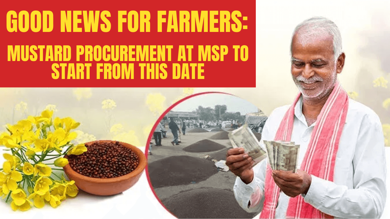 Good News for Farmers: Mustard Procurement at MSP to Start From This Date
