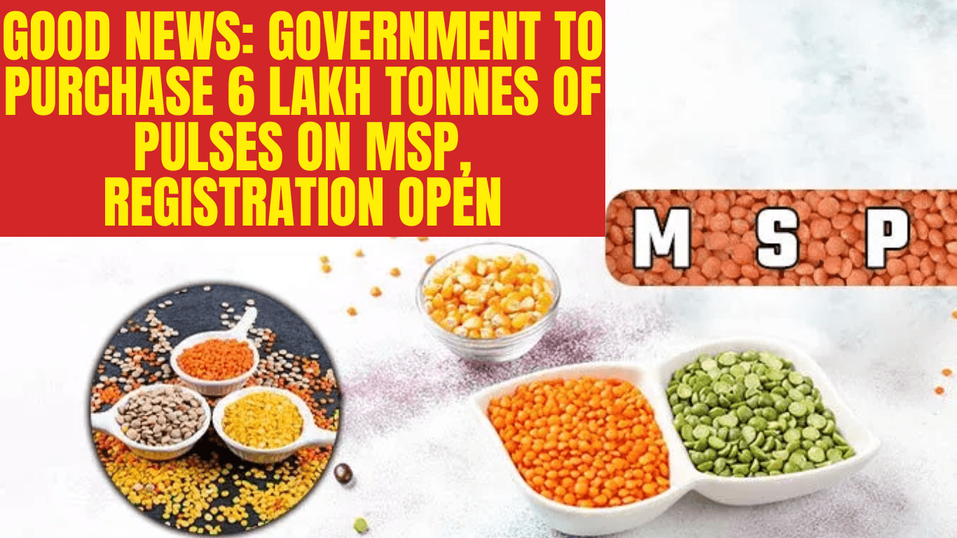 Good news: Government to Purchase 6 Lakh Tonnes of Pulses on MSP, Registration Open