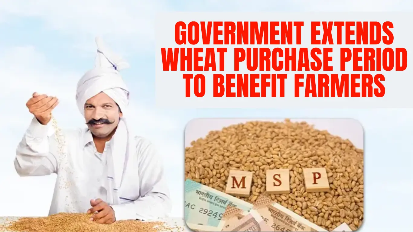 Government Extends Wheat Purchase Period to Benefit Farmers