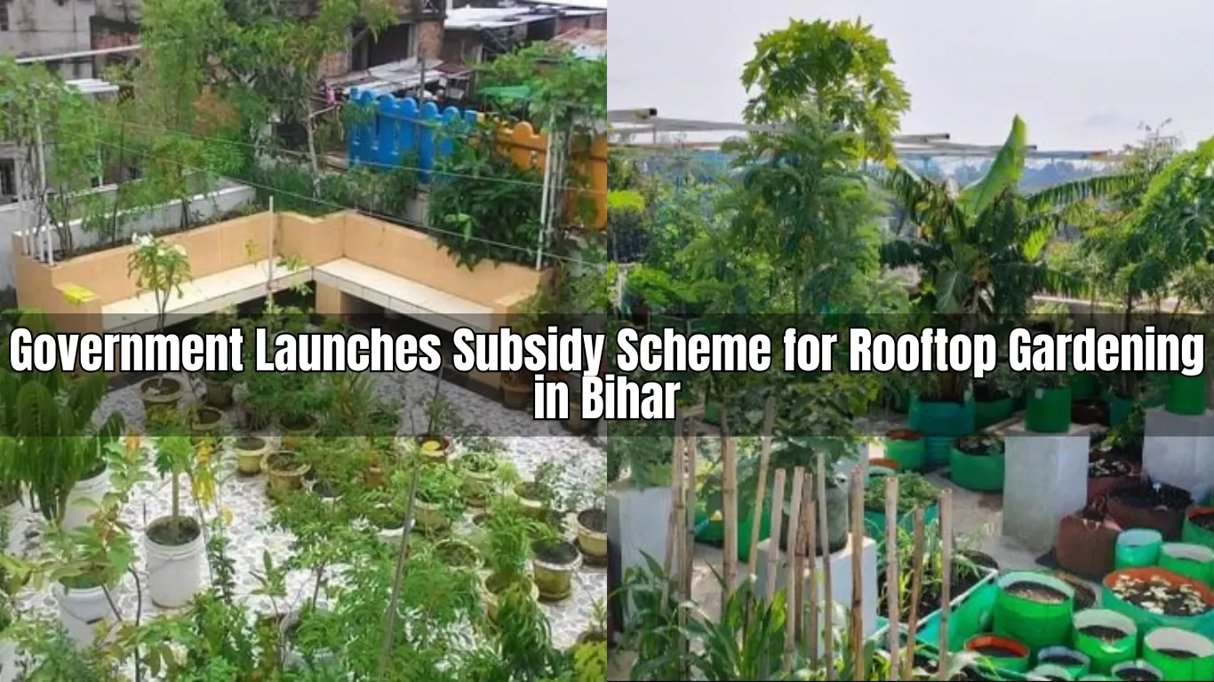 Government Launches Subsidy Scheme for Rooftop Gardening in Bihar