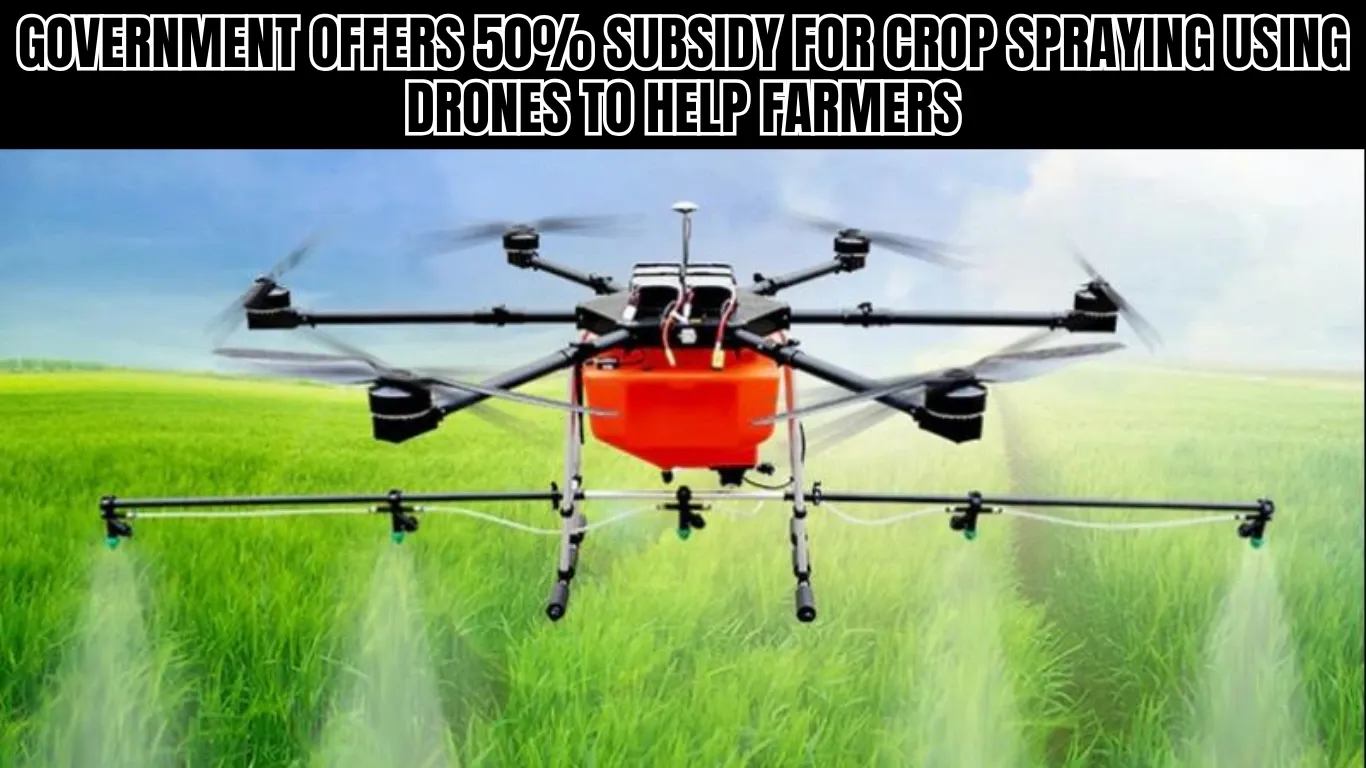 Government Offers 50% Subsidy for Crop Spraying Using Drones to Help Farmers