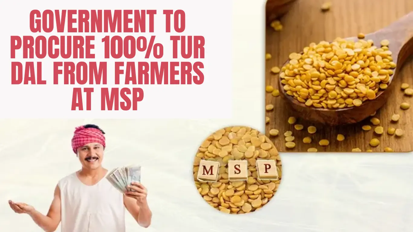 Government to Procure 100% Tur Dal from Farmers at MSP