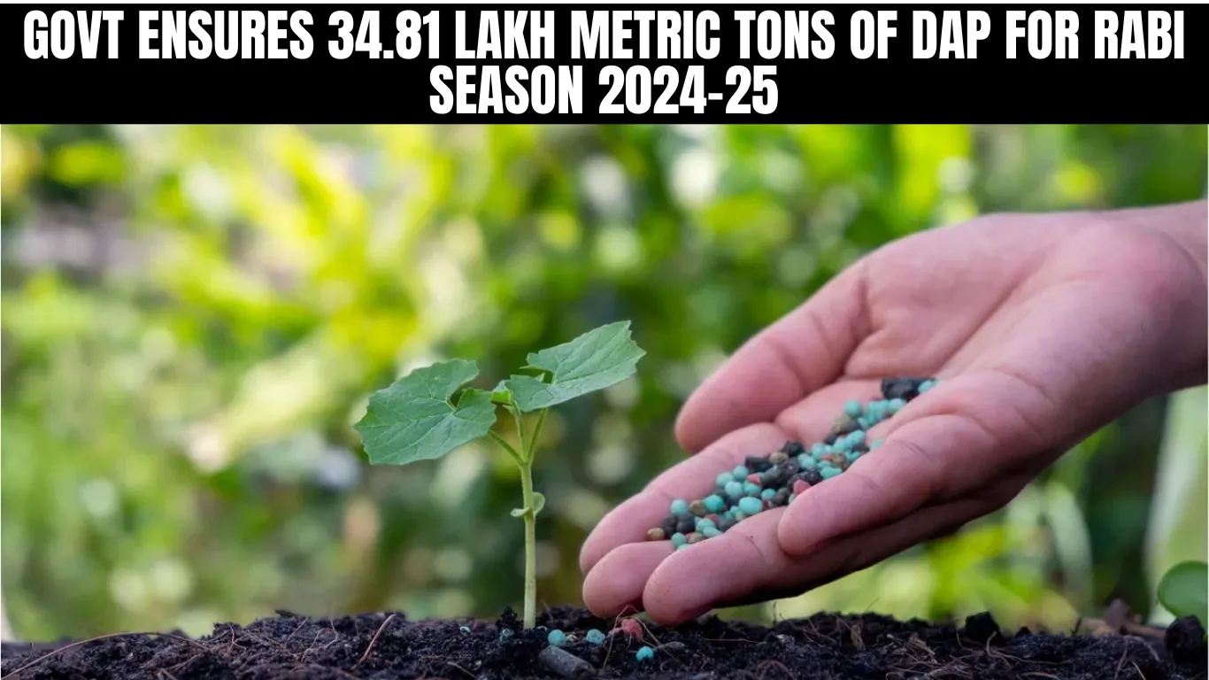 Govt Ensures 34.81 Lakh Metric Tons of DAP for Rabi Season 2024-25
