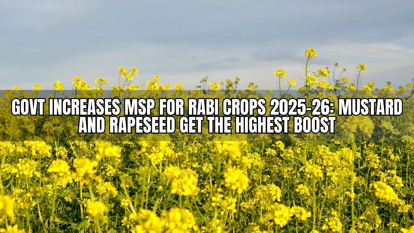 Govt Increases MSP for Rabi Crops 2025-26: Mustard and Rapeseed Get the Highest Boost