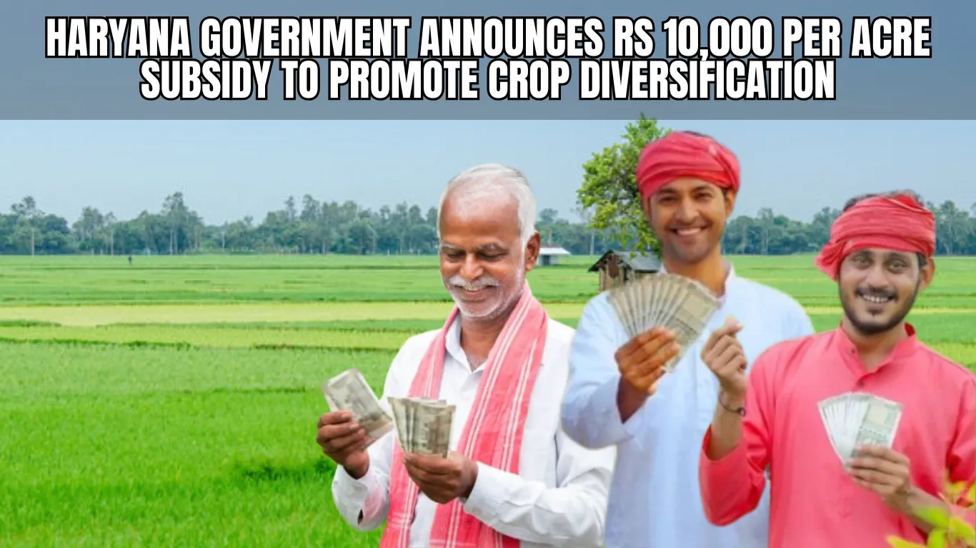 Haryana Government Announces Rs 10,000 per Acre Subsidy to Promote Crop Diversification