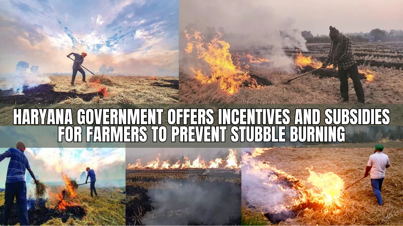 Haryana Government Offers Incentives and Subsidies for Farmers to Prevent Stubble Burning