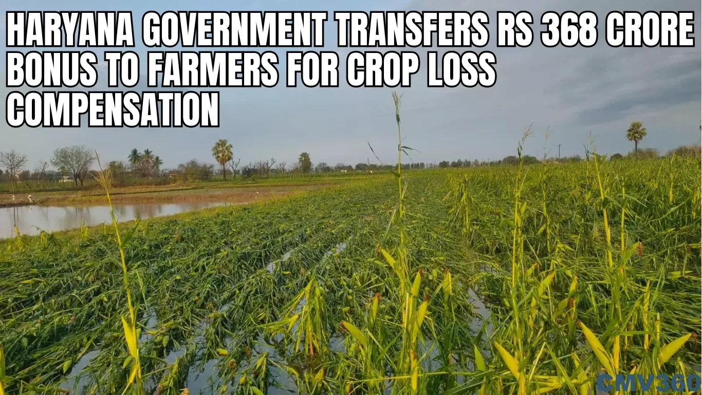 Haryana Government Transfers Rs 368 Crore Bonus to Farmers for Crop Loss Compensation