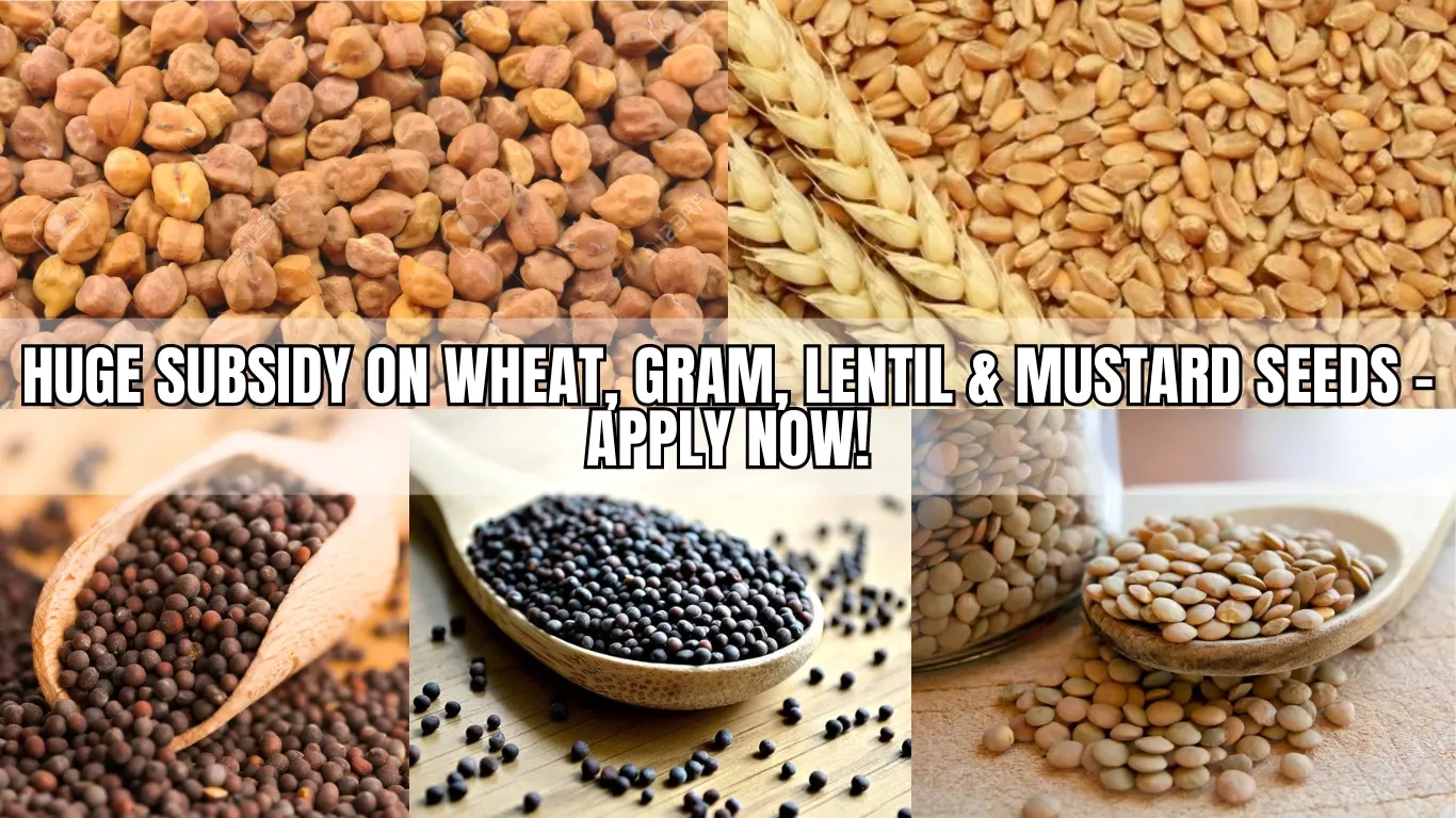 Huge Subsidy on Wheat, Gram, Lentil & Mustard Seeds – Apply Now!