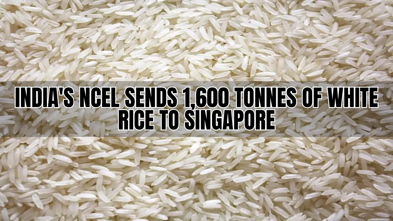 India's NCEL Sends 1,600 Tonnes of White Rice to Singapore