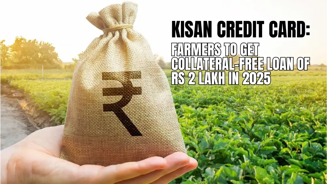Kisan Credit Card: Farmers to Get Collateral-Free Loan of Rs 2 Lakh in 2025