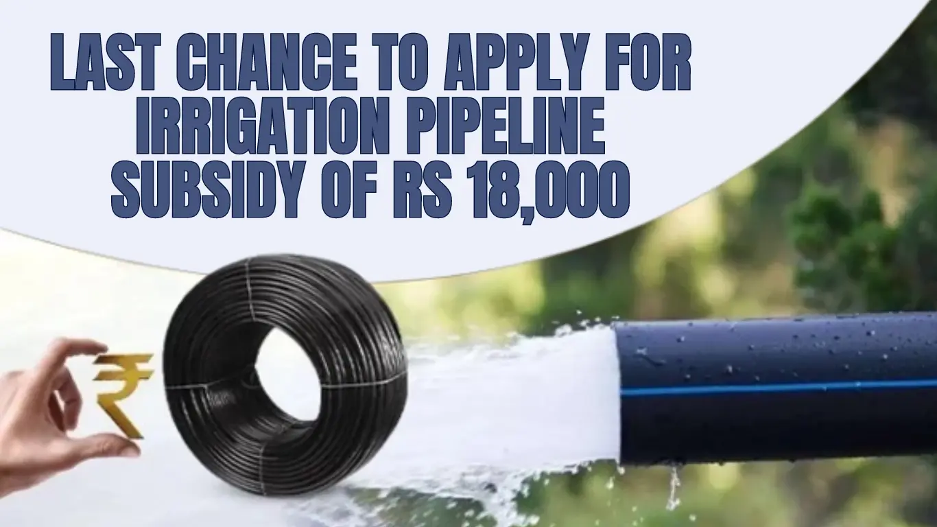 Last Chance to Apply for Irrigation Pipeline Subsidy of Rs 18,000