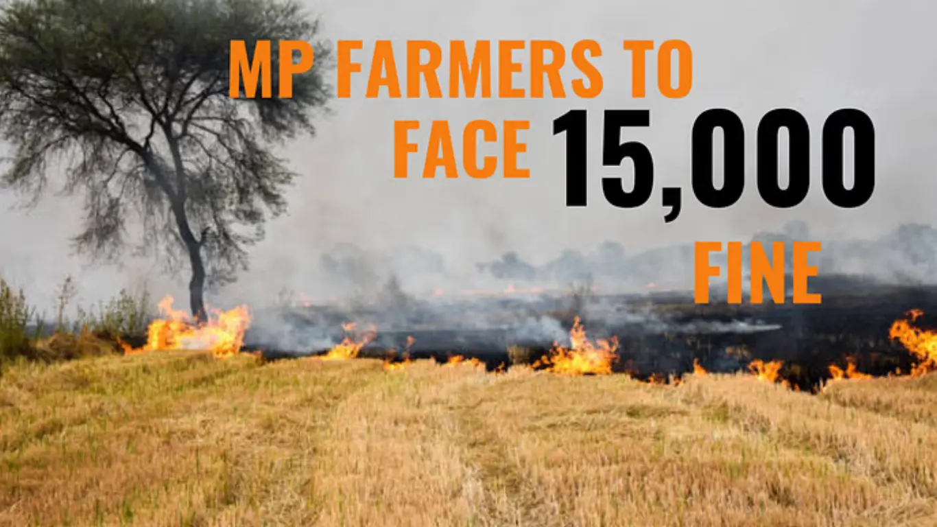 MP Farmers Facing Heavy Fine of ₹15,000 for Burning of Crop Residue