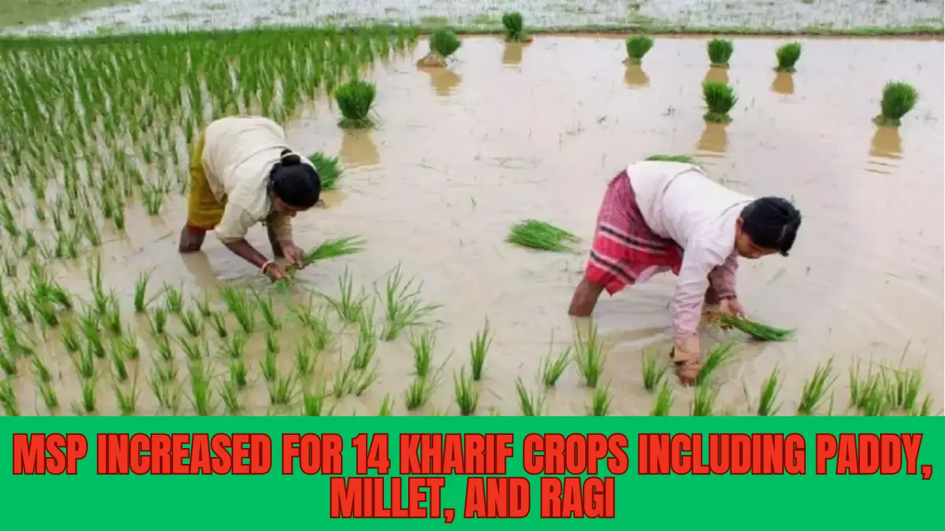 MSP Increased for 14 Kharif Crops Including Paddy, Millet, and Ragi