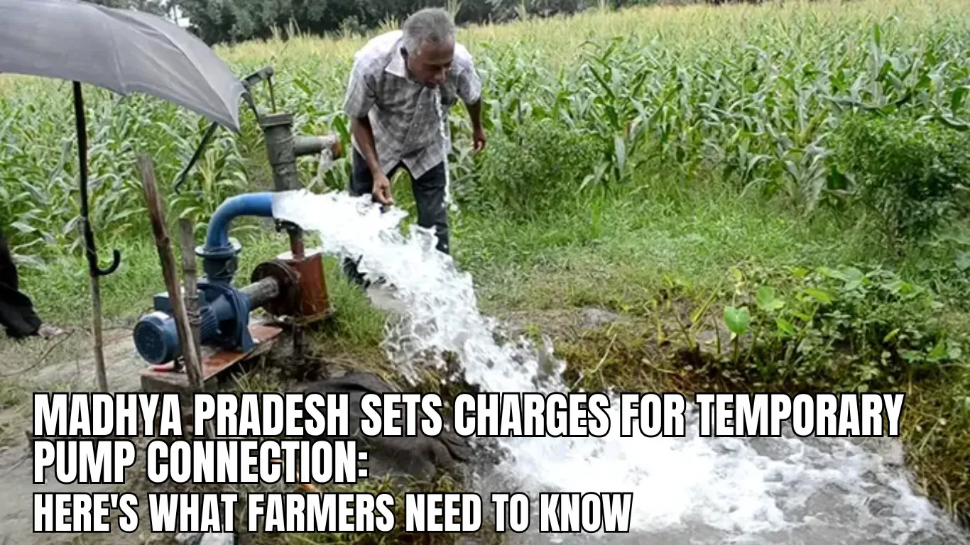 Madhya Pradesh Sets Charges for Temporary Pump Connection: Here's What Farmers Need to Know