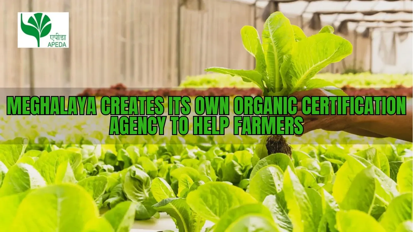 Meghalaya Creates Its Own Organic Certification Agency to Help Farmers