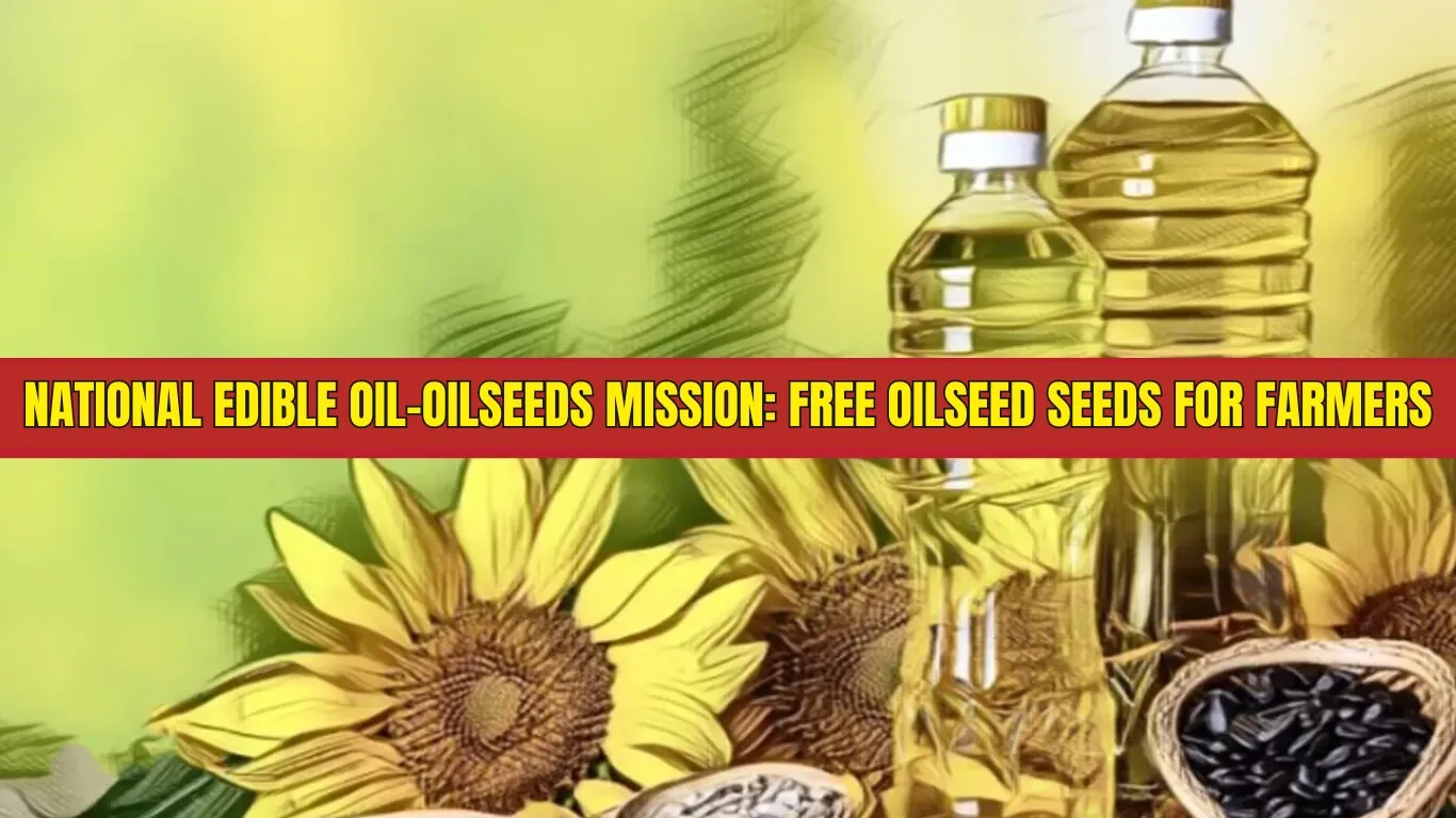 National Edible Oil-Oilseeds Mission: Free Oilseed Seeds for Farmers