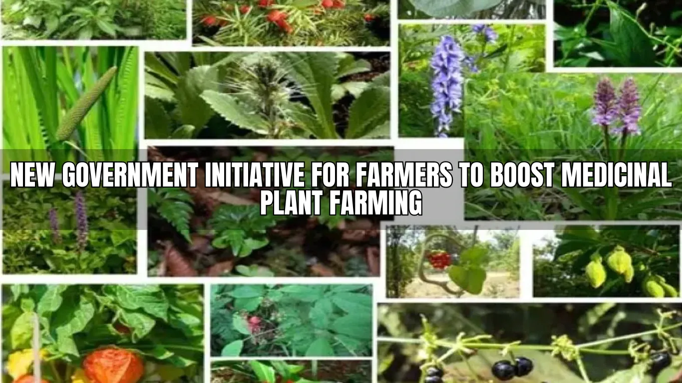 New Government Initiative for Farmers to Boost Medicinal Plant Farming