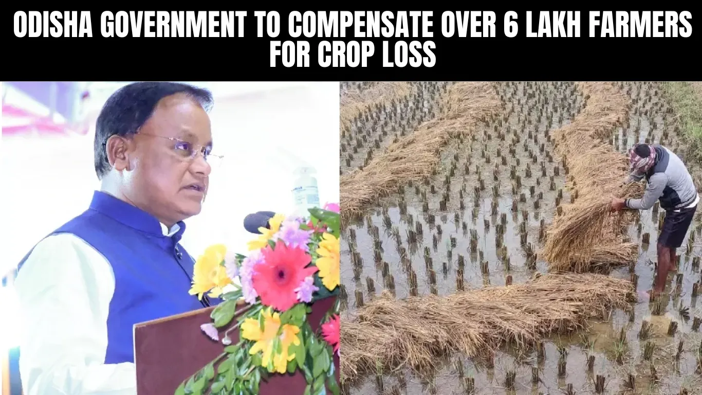 Odisha Government to Compensate Over 6 Lakh Farmers for Crop Loss