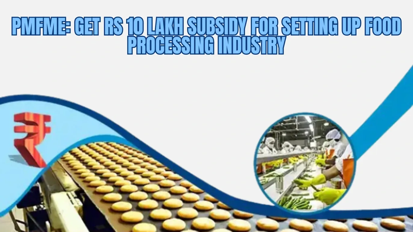 PMFME: Get Rs 10 Lakh Subsidy for Setting Up Food Processing Industry