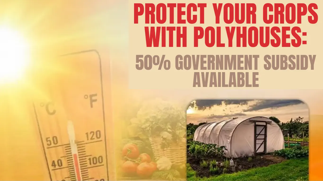 Protect Your Crops with Polyhouses: 50% Government Subsidy Available