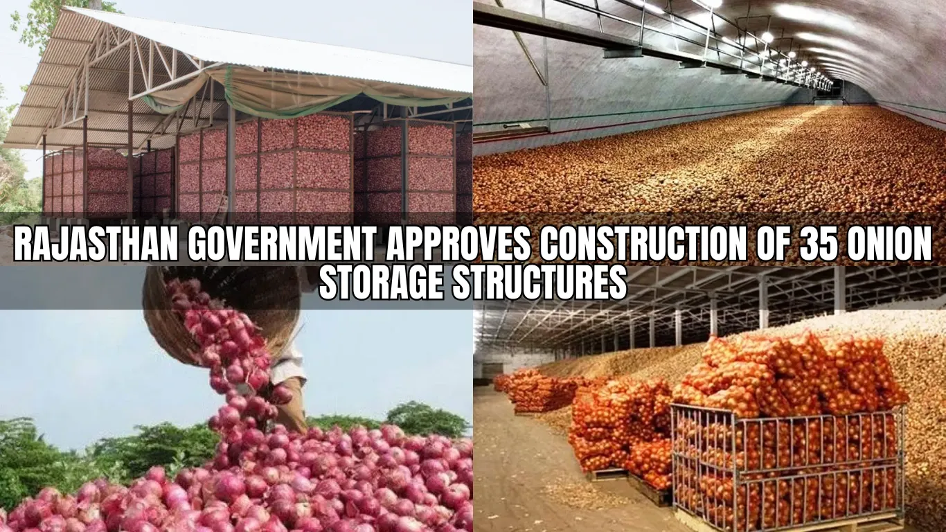 Rajasthan Government Approves Construction of 35 Onion Storage Structures