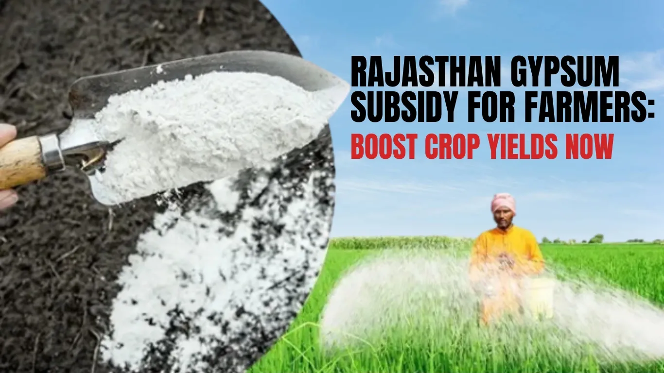 Rajasthan Gypsum Subsidy for Farmers: Boost Crop Yields Now