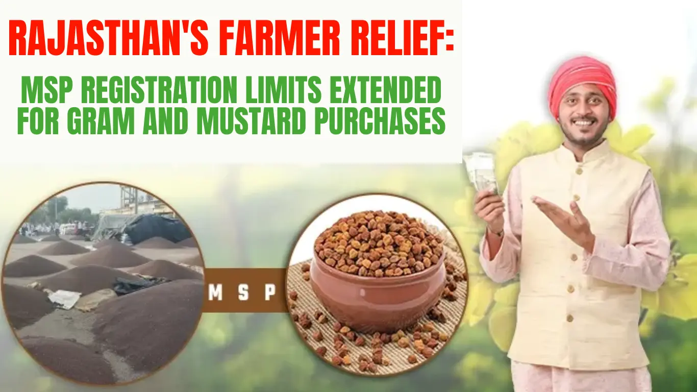 Rajasthan's Farmer Relief: MSP Registration Limits Extended for Gram and Mustard Purchases