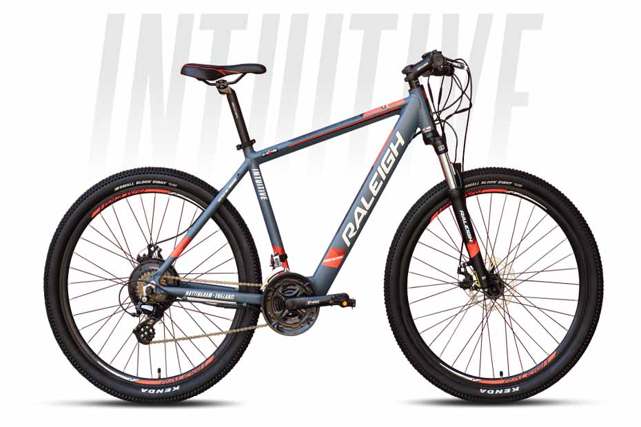 Raleigh avanti mountain online bike