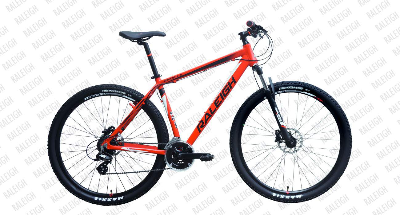 29 raleigh best sale mountain bike