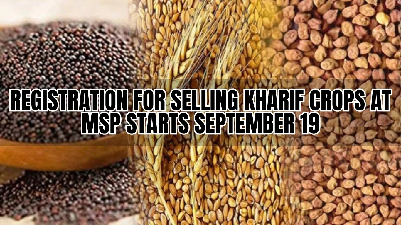 Registration for Selling Kharif Crops at MSP Starts September 19