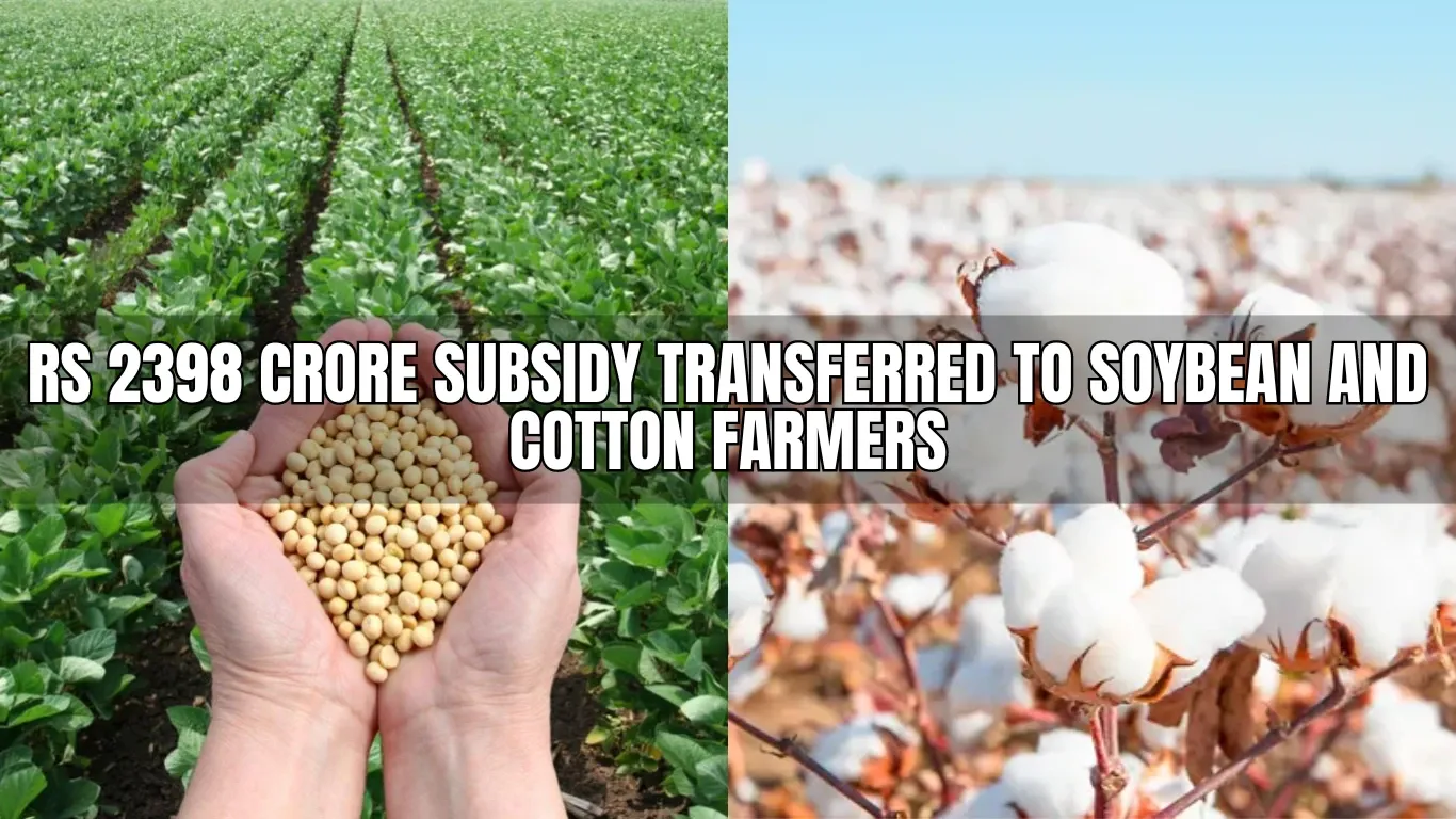 Rs 2398 Crore Subsidy Transferred to Soybean and Cotton Farmers